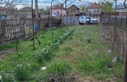 Casa batraneasca, 2504 mp teren, Secui Dolj