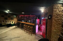 Spatiu comercial, afacere la cheie, 240 mp, D+P, Centru Vechi