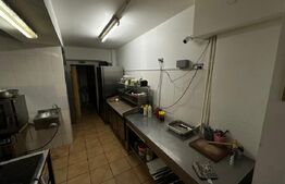 Spatiu comercial, afacere la cheie, 240 mp, D+P, Centru Vechi