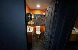 Spatiu comercial, afacere la cheie, 240 mp, D+P, Centru Vechi