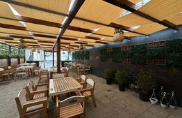 Spatiu comercial, afacere la cheie, 240 mp, D+P, Centru Vechi