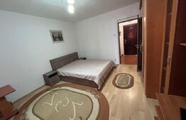 Garsoniera semidecomandata, 31 mp, zona Brazda lui Novac