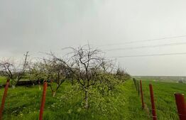 Teren intravilan, 4447 mp, 28 ml deschidere, Pielesti