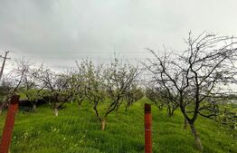 Teren intravilan, 4447 mp, 28 ml deschidere, Pielesti