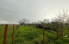 Teren intravilan, 4447 mp, 28 ml deschidere, Pielesti