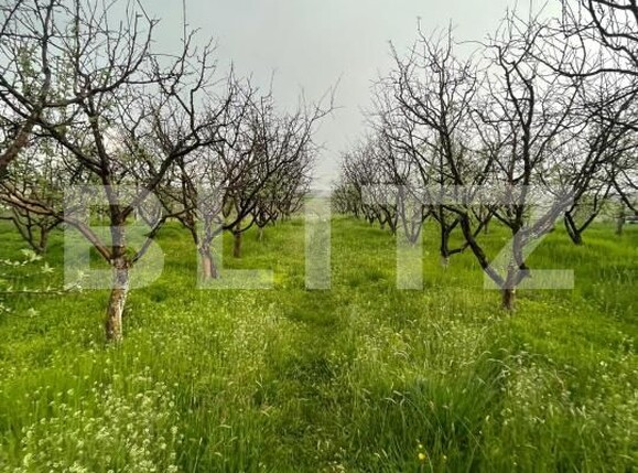 Teren de vânzare Exterior Est - 193337TV | BLITZ Craiova | Poza1