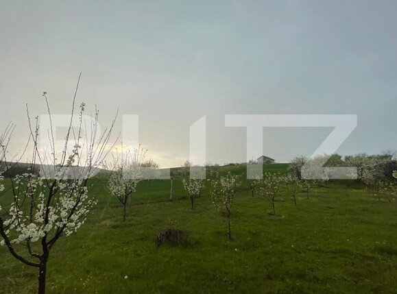 Teren de vânzare Exterior Est - 193337TV | BLITZ Craiova | Poza3