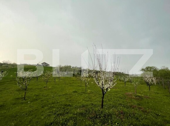 Teren de vânzare Exterior Est - 193337TV | BLITZ Craiova | Poza7