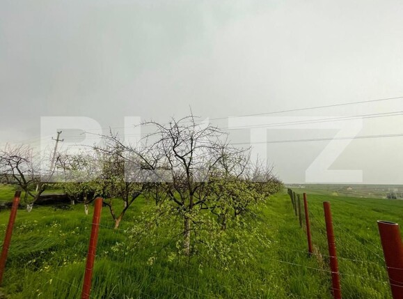 Teren de vânzare Exterior Est - 193337TV | BLITZ Craiova | Poza5