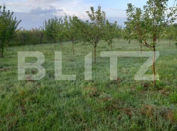 Teren de vânzare Exterior Est - 193337TV | BLITZ Craiova | Poza6