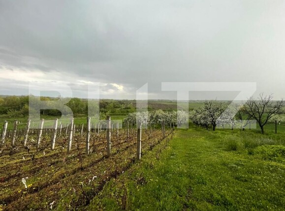 Teren de vânzare Exterior Est - 193337TV | BLITZ Craiova | Poza4