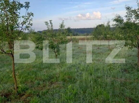 Teren de vânzare Exterior Est - 193337TV | BLITZ Craiova | Poza5