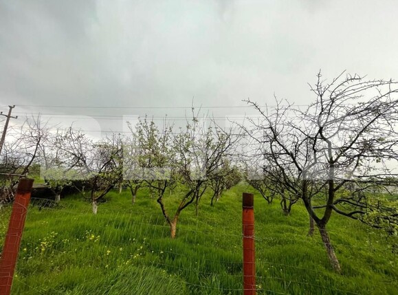 Teren de vânzare Exterior Est - 193337TV | BLITZ Craiova | Poza6