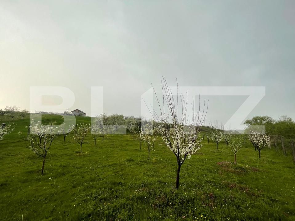Teren de vânzare Exterior Est - 193337TV | BLITZ Craiova | Poza13