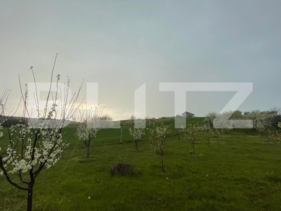 Teren de vânzare Exterior Est - 193337TV | BLITZ Craiova | Poza9