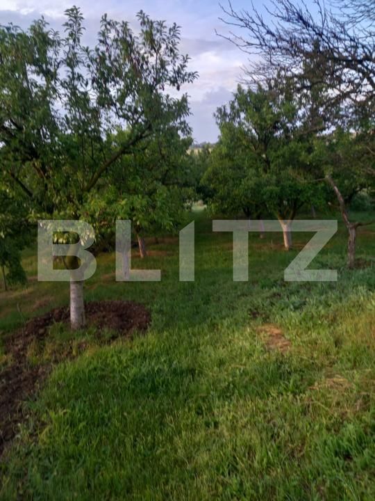 Teren de vânzare Exterior Est - 193337TV | BLITZ Craiova | Poza14