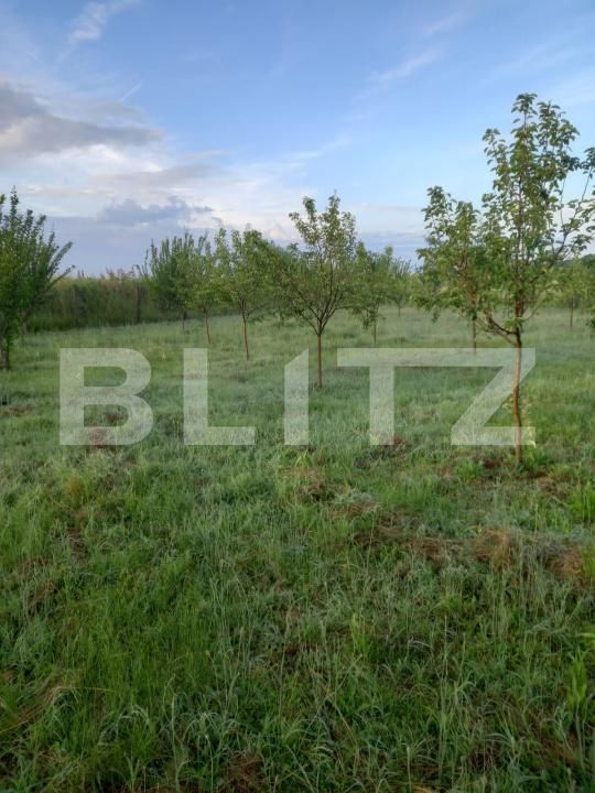 Teren de vânzare Exterior Est - 193337TV | BLITZ Craiova | Poza6