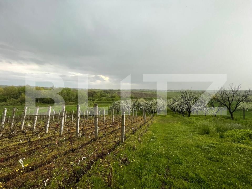 Teren de vânzare Exterior Est - 193337TV | BLITZ Craiova | Poza4