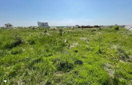 Teren de vânzare Malu Mare - 189928TV | BLITZ Craiova | Poza1