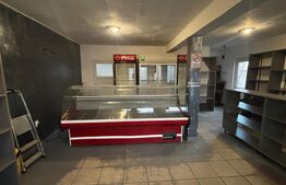 Casă parter 133 mp, teren 462 mp, panouri solare, zona rest. Ambasador-Brestei