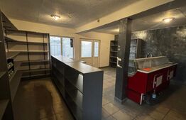 Casă parter 133 mp, teren 462 mp, panouri solare, zona rest. Ambasador-Brestei