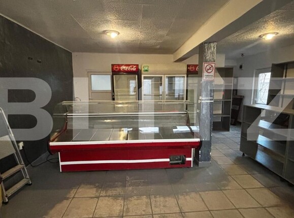 Casa de vânzare 4 camere Brestei - 193371CV | BLITZ Craiova | Poza11