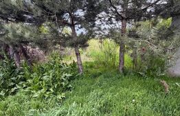 Casa de vanzare ,90 mp constructie ,teren 1400mp ,parcelabil,str Rozelor,Filiasi