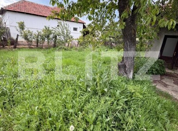 Casa de vânzare 4 camere Filiaşi - 193405CV | BLITZ Craiova | Poza11