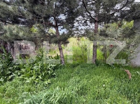 Casa de vânzare 4 camere Filiaşi - 193405CV | BLITZ Craiova | Poza10