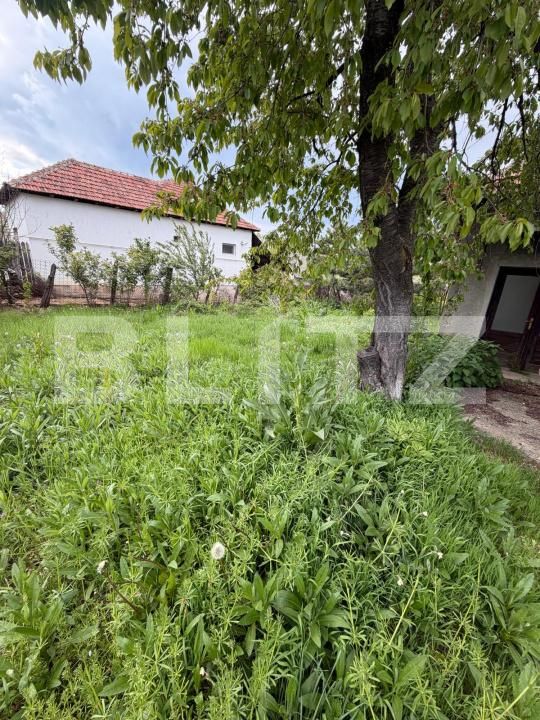 Casa de vânzare 4 camere Filiaşi - 193405CV | BLITZ Craiova | Poza11