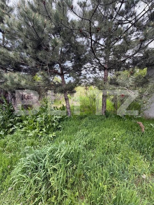 Casa de vânzare 4 camere Filiaşi - 193405CV | BLITZ Craiova | Poza10