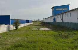 Teren de vânzare în zona Malu Mare, 5000mp ,front stradal 20m