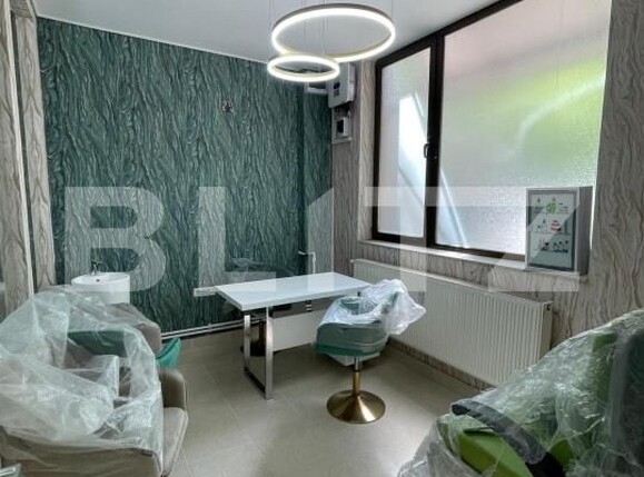 Spațiu comercial de închiriat Lapus - 193449SIC | BLITZ Craiova | Poza2