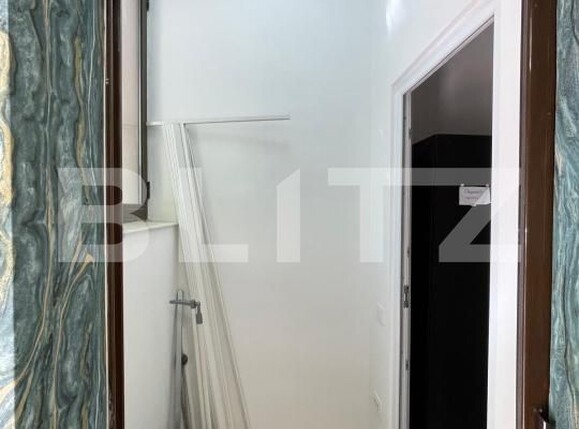 Spațiu comercial de închiriat Lapus - 193449SIC | BLITZ Craiova | Poza4