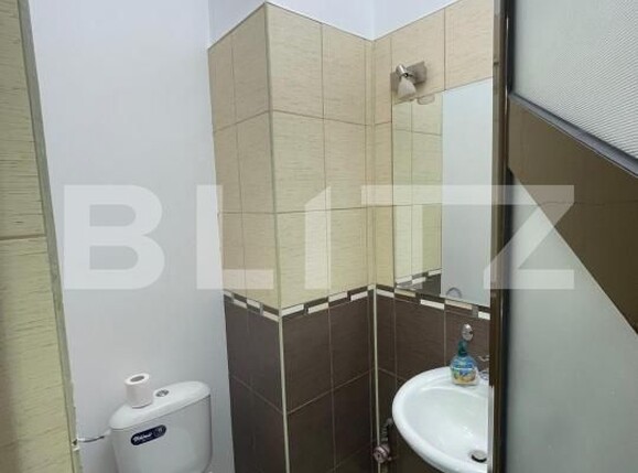 Spațiu comercial de închiriat Lapus - 193449SIC | BLITZ Craiova | Poza7