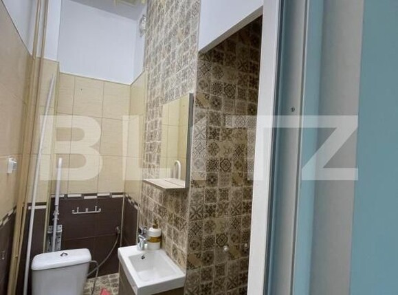 Spațiu comercial de închiriat Lapus - 193449SIC | BLITZ Craiova | Poza6