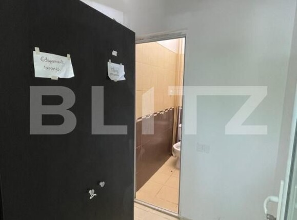 Spațiu comercial de închiriat Lapus - 193449SIC | BLITZ Craiova | Poza5