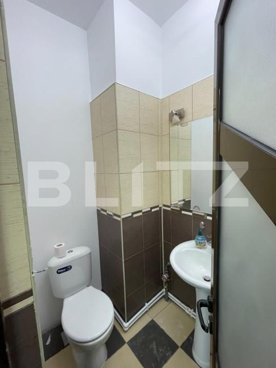 Spațiu comercial de închiriat Lapus - 193449SIC | BLITZ Craiova | Poza7