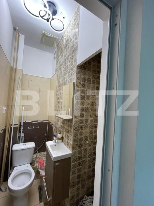 Spațiu comercial de închiriat Lapus - 193449SIC | BLITZ Craiova | Poza6