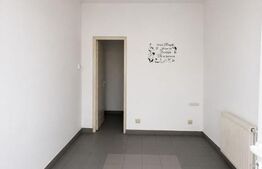 Spatiu comercial - 20 mp Lapus