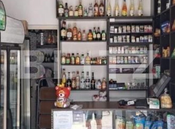 Spațiu comercial de închiriat Lapus - 193452SIC | BLITZ Craiova | Poza1