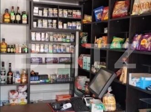 Spațiu comercial de închiriat Lapus - 193452SIC | BLITZ Craiova | Poza2