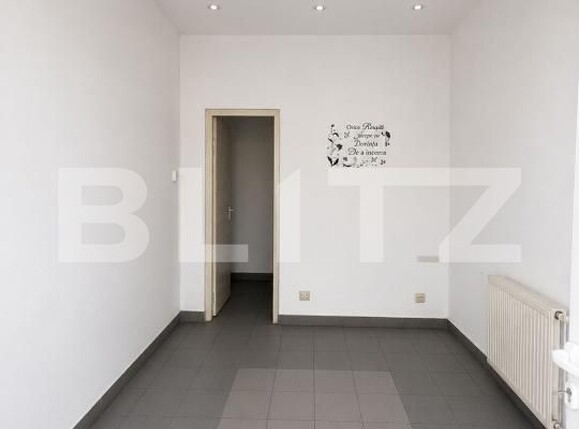 Spațiu comercial de închiriat Lapus - 193452SIC | BLITZ Craiova | Poza2