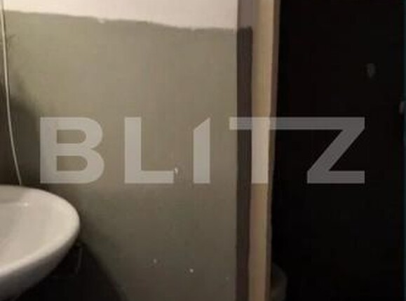 Spațiu comercial de închiriat Lapus - 193452SIC | BLITZ Craiova | Poza3