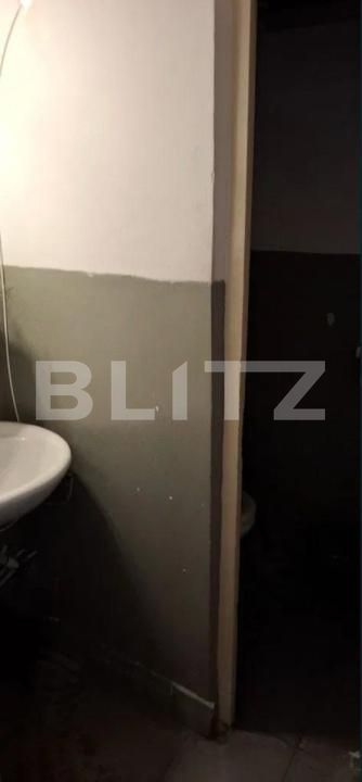 Spațiu comercial de închiriat Lapus - 193452SIC | BLITZ Craiova | Poza5