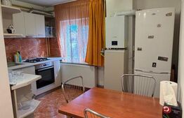 Garsoniera de inchiriat, 42 mp, zona Brazda lui Novac