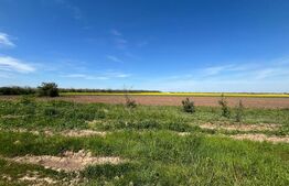 Teren extravilan Coșoveni 500-1500 mp deschidere mare