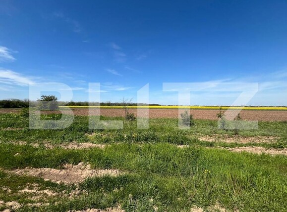 Teren de vânzare Cosoveni - 193535TV | BLITZ Craiova | Poza1