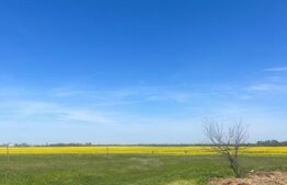 Teren extravilan Coșoveni 500-1500 mp