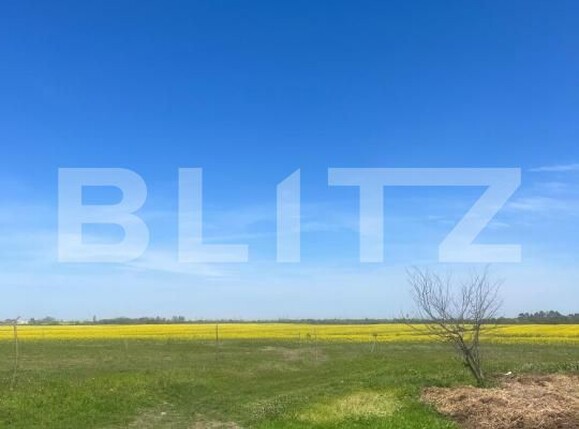 Teren de vânzare Cosoveni - 193536TV | BLITZ Craiova | Poza1